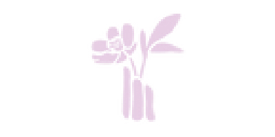 Célestine Morel Célestine Morel