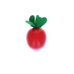 radis en bois jeu educatif enfant