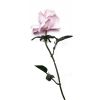 Fleur en plastique rose