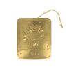 Plaque laiton astrologie Lion
