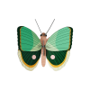 Trophée papillon vert