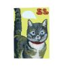 Carte chat 