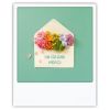 Carte polaroid 