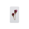 Duo de fleurs roses sous résine