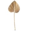 Feuille de palme doré 10-15 cm