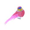 Oiseau à clipser rose