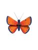 Trophée petit papillon