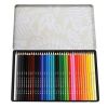 Boite de 36 crayons de couleurs motifs dinosaures