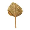 Feuille de palme naturelle 25-30 cm