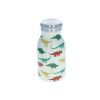 Gourde en métal dinosaures 260 ml