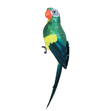 grand perroquet vert