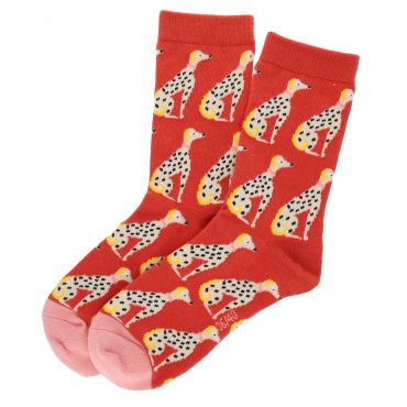chaussettes femmes orange chiens olympe
