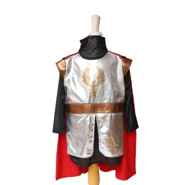 costume chevalier