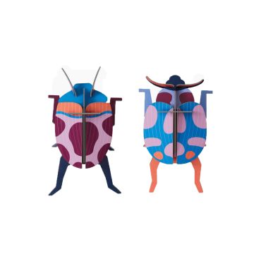 couple coccinelle carton