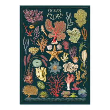 affiche vintage letterbox ocean flower