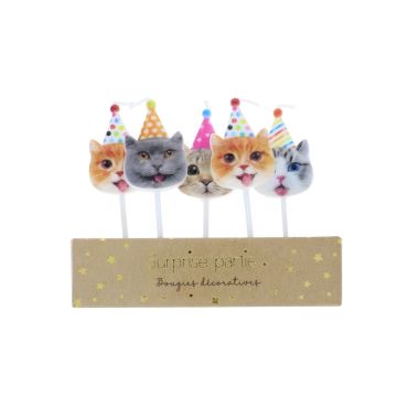 lot de 5 bougies anniversaire chats