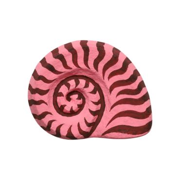 trophée mural coquillage