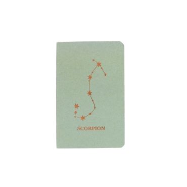 carnet astro scorpion
