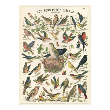 Affiche vintage oiseaux