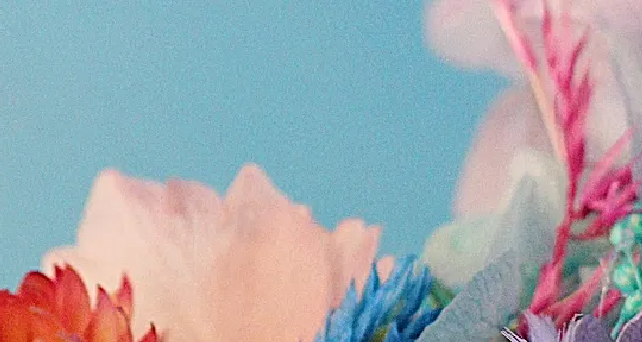 Marque Célestine Morel